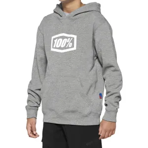 100% Youth Icon Hoodie - Gray