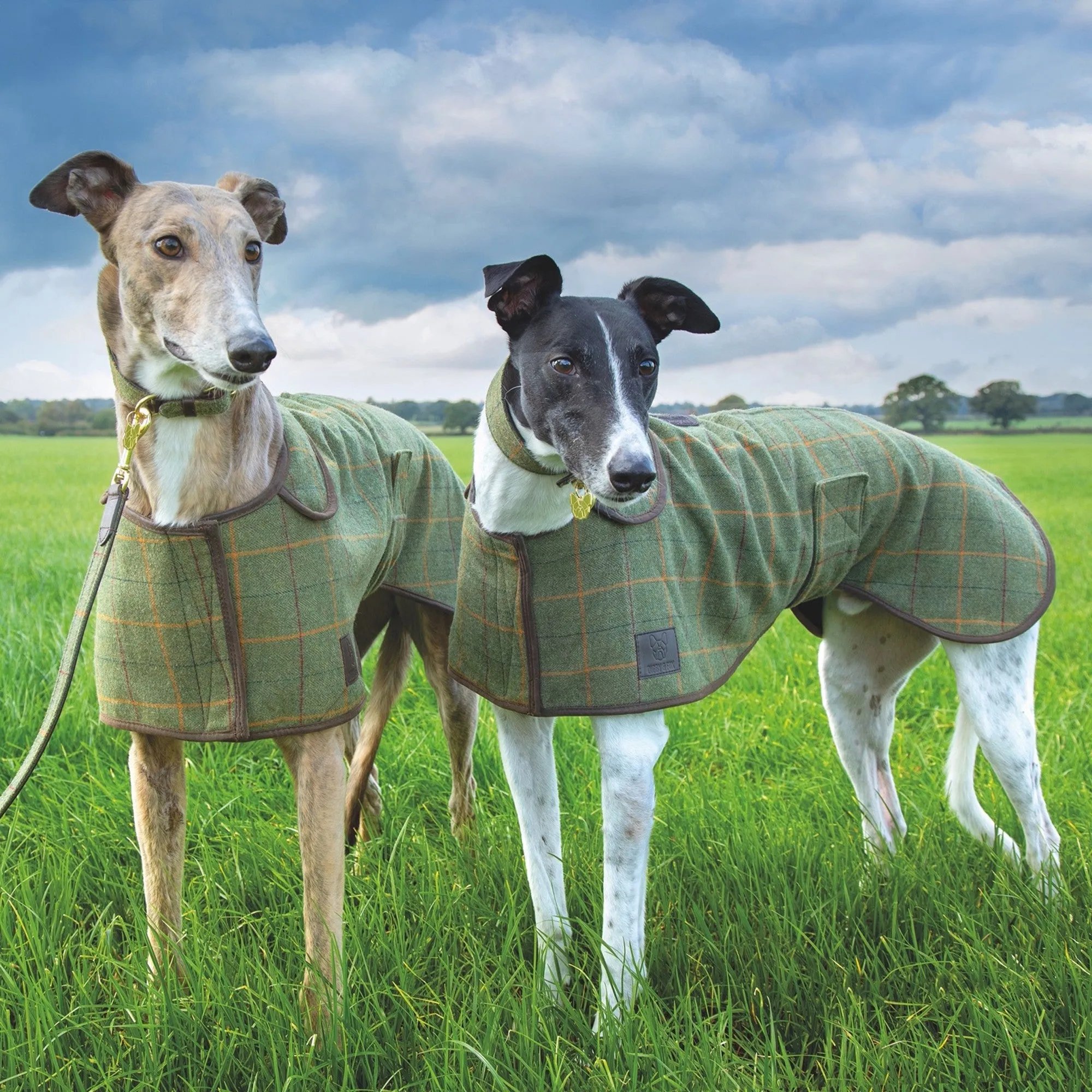 Digby & Fox Tweed Greyhound Dog Coat