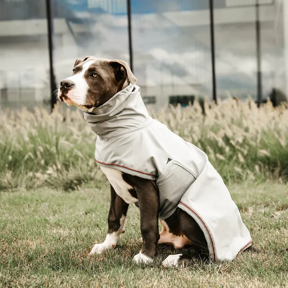 Dog Rain Coat