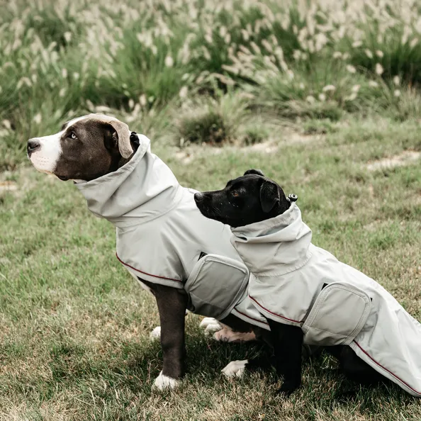 Dog Rain Coat