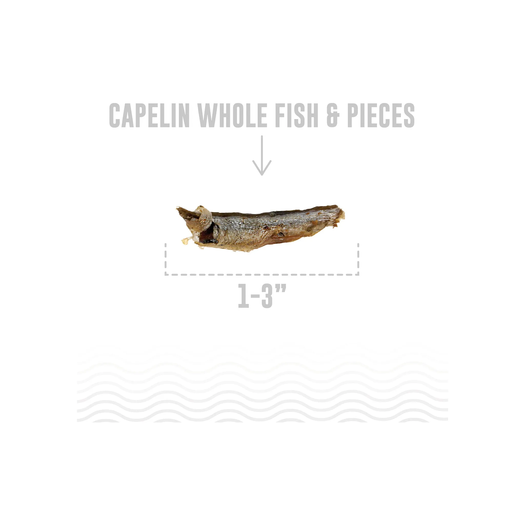 Icelandic  Grain-Free Whole Fish Cat Treats