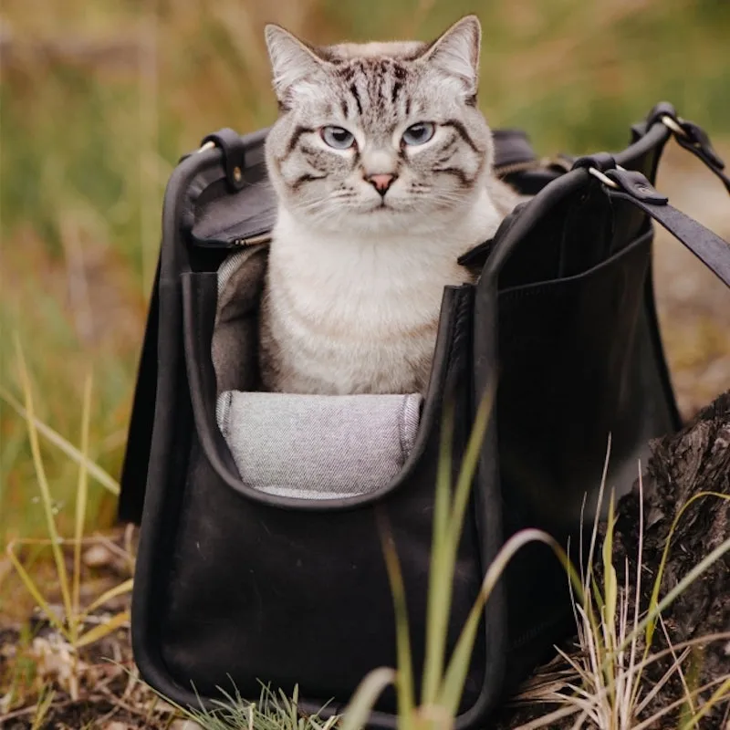 Leather Pet Carrier