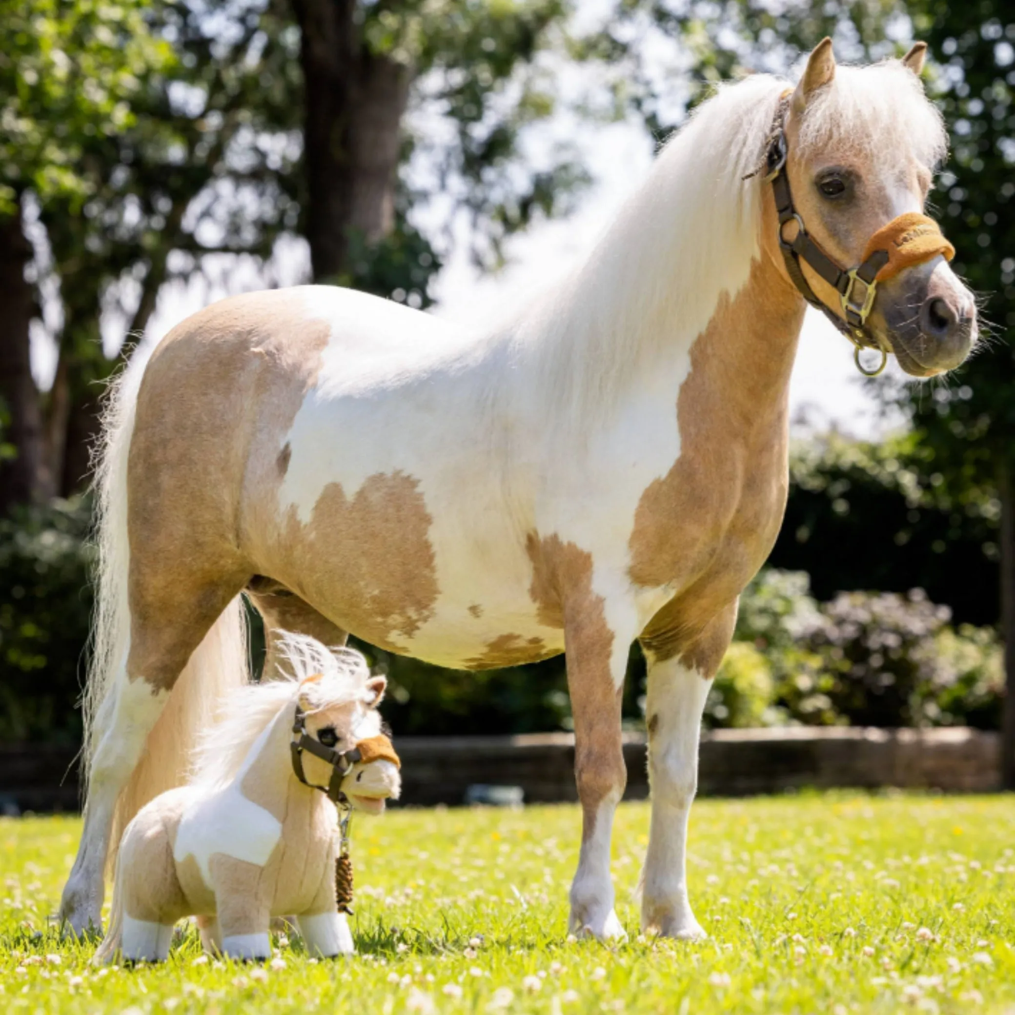 LeMieux Toy Pony