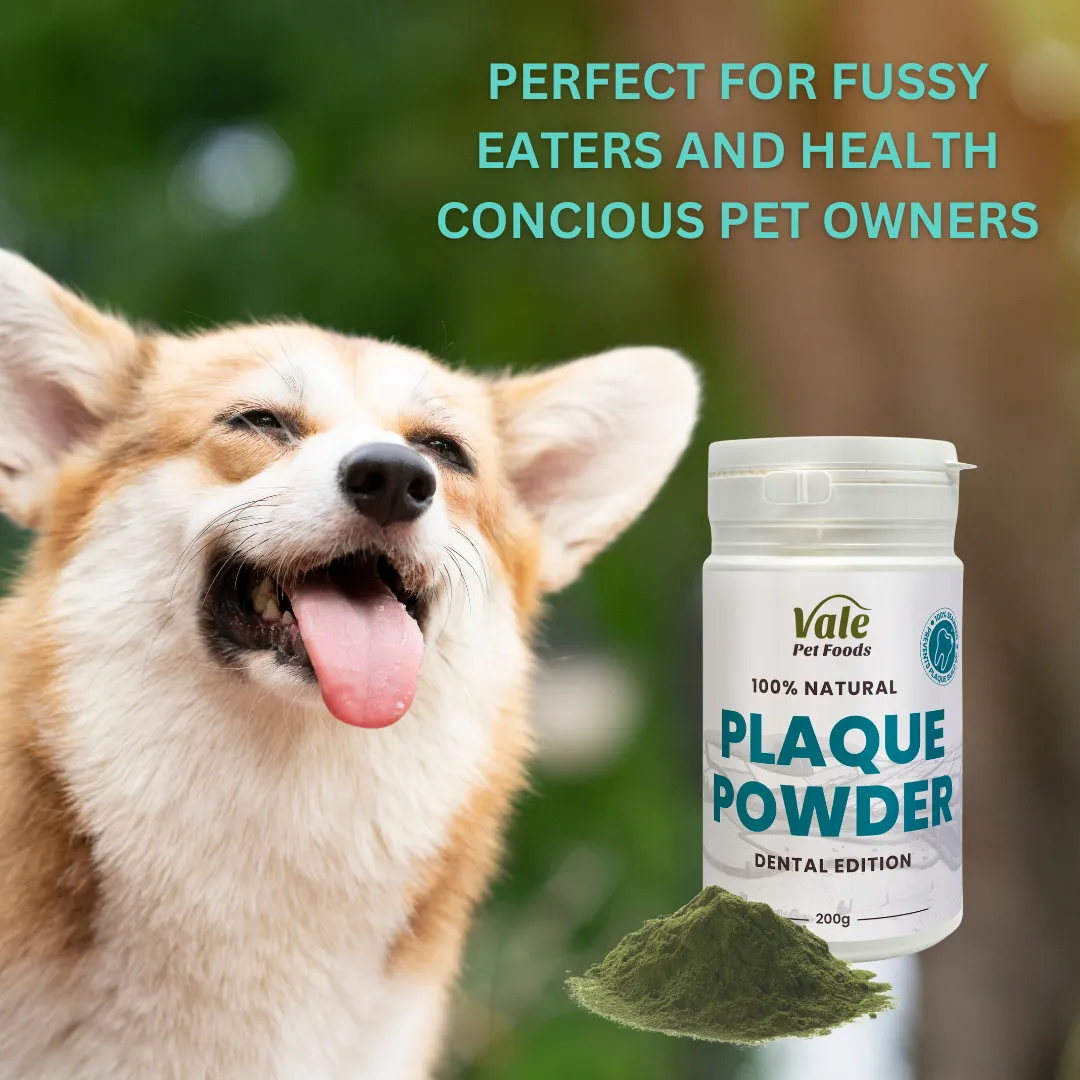 Plaque Powder 200g (Dental Edition)