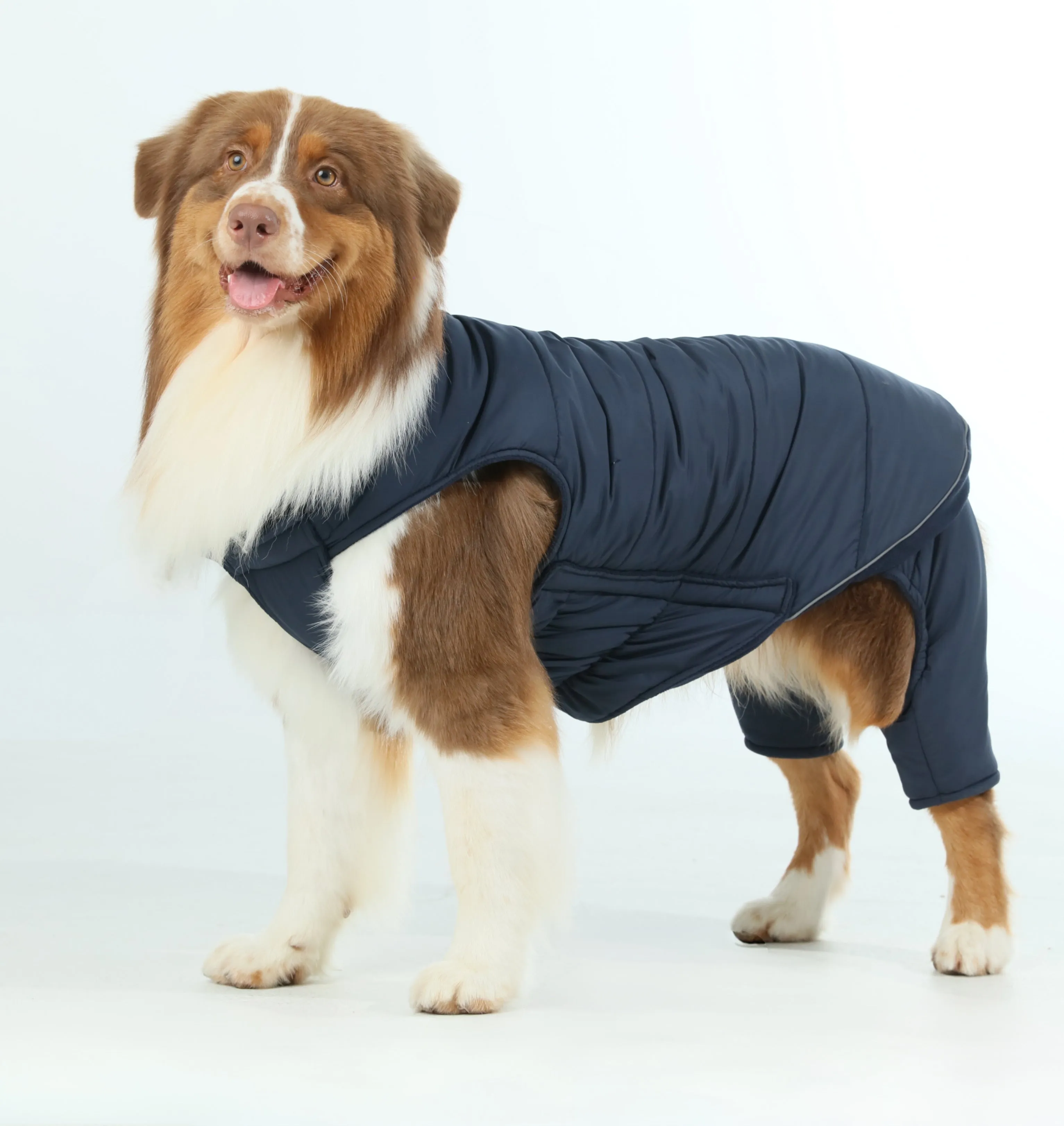 Reversible Dog Vest Jacket - Blue