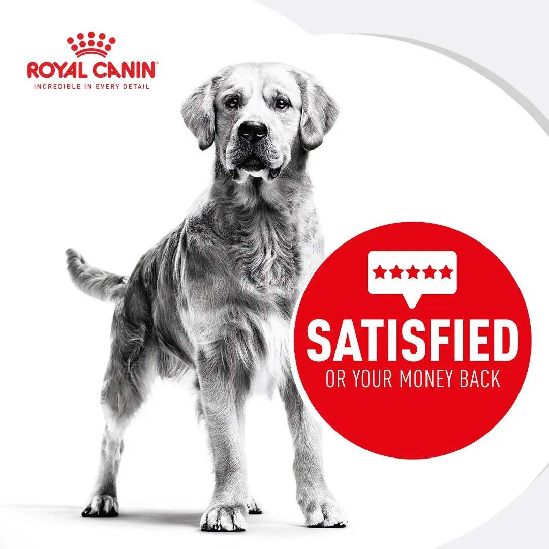 Royal Canin Maxi Dermacomfort Adult Dry Dog Food