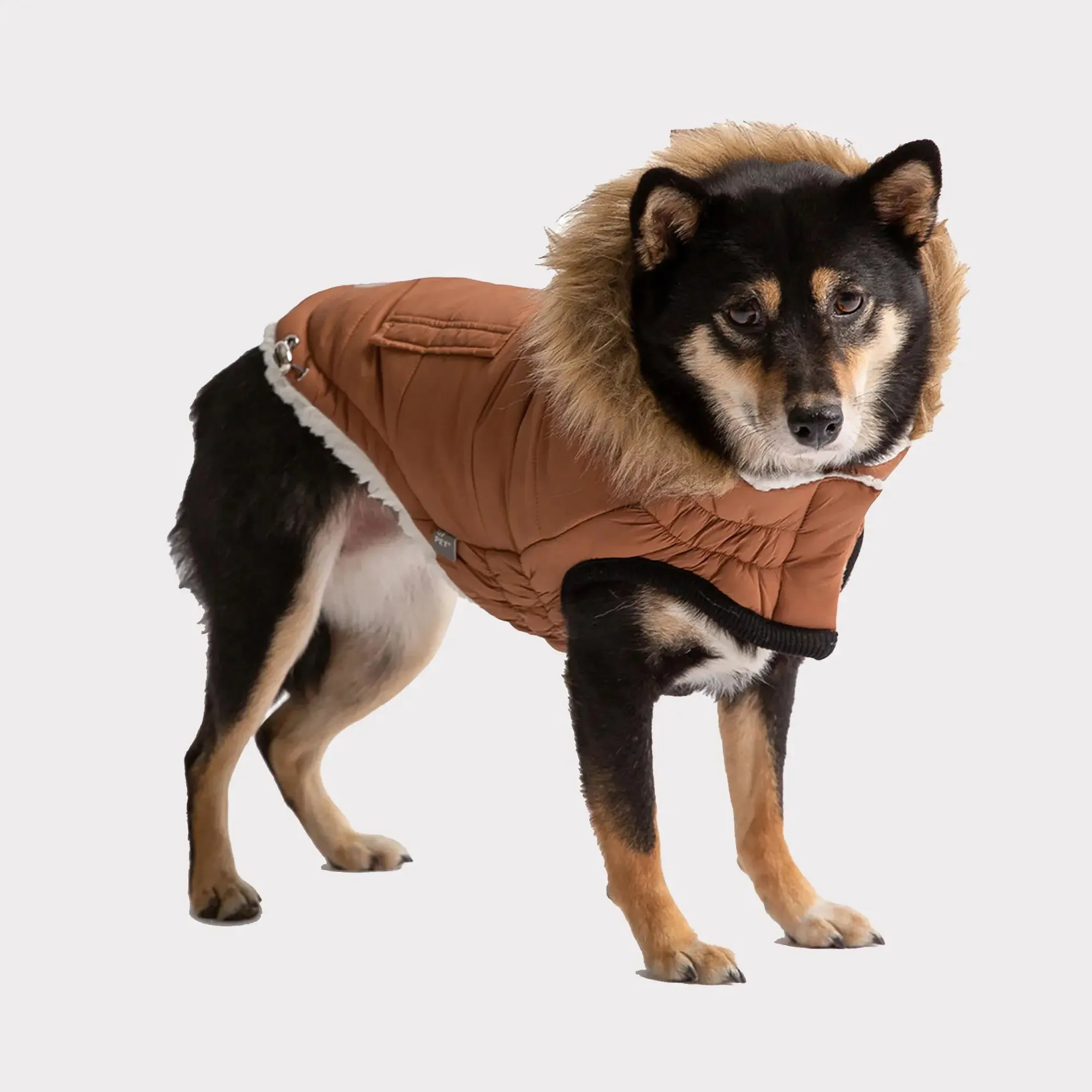 Urban Dog Parka | Caramel