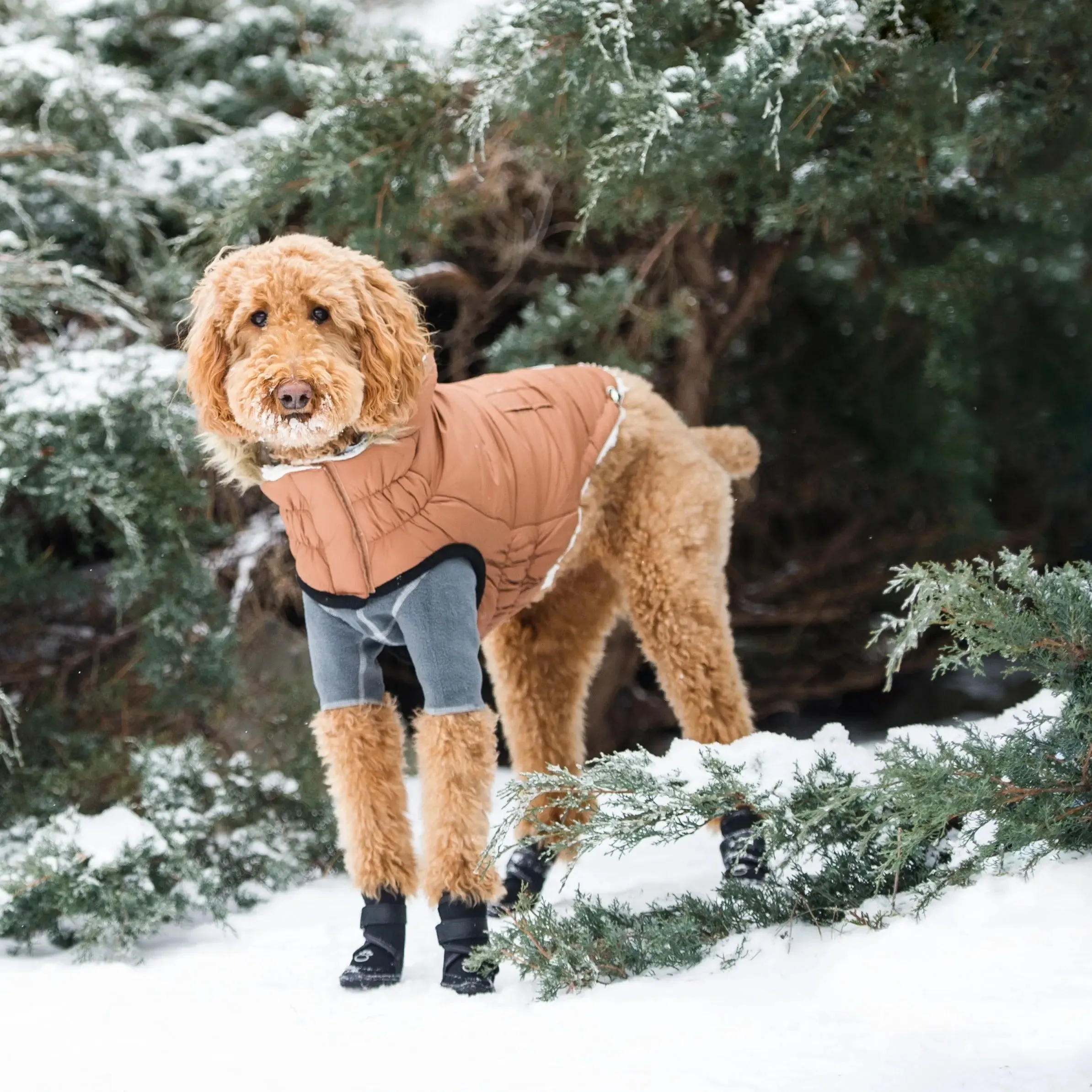 Urban Dog Parka | Caramel