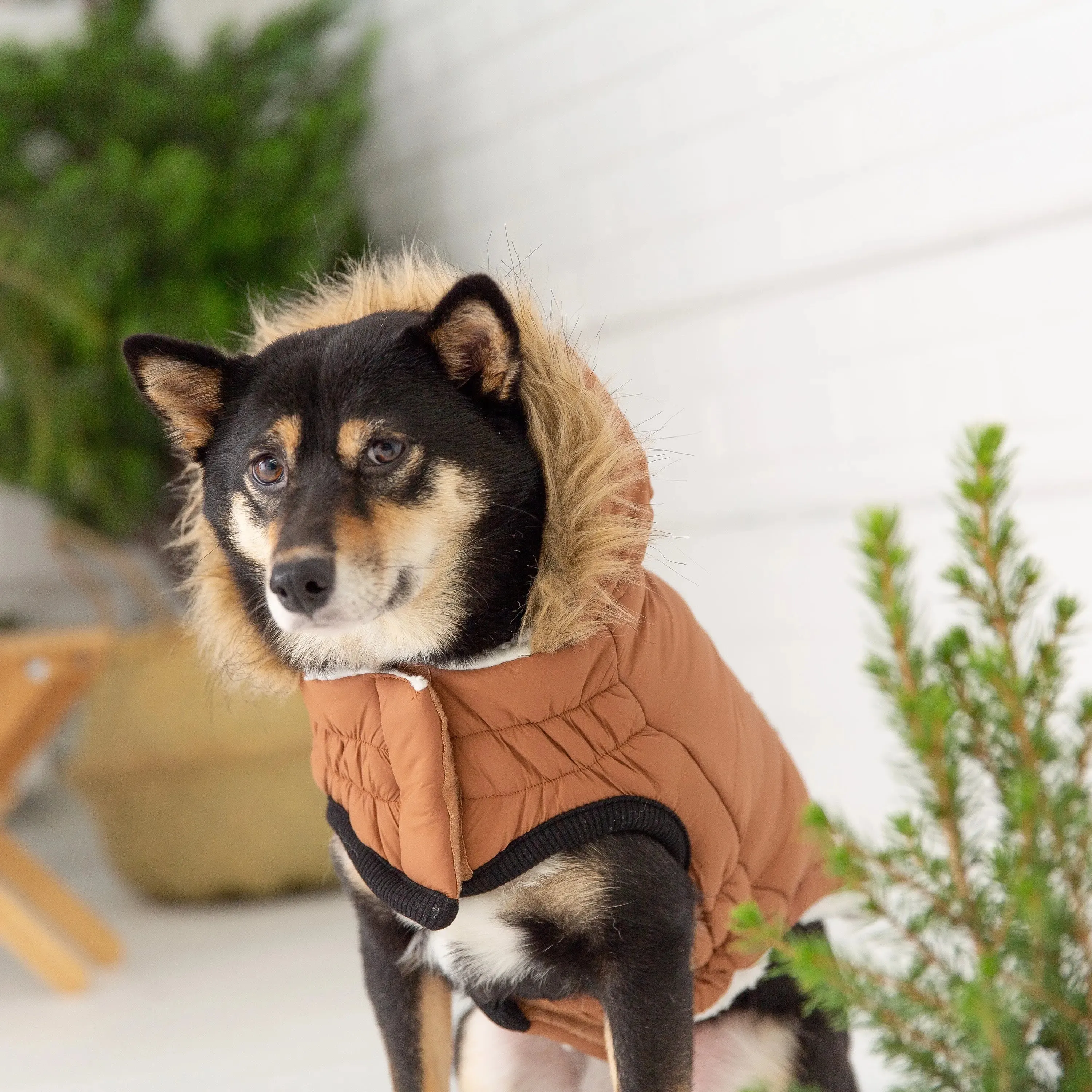 Urban Dog Parka | Caramel